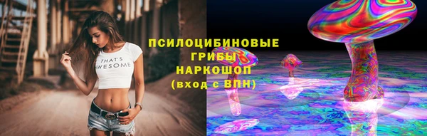 индика Аркадак