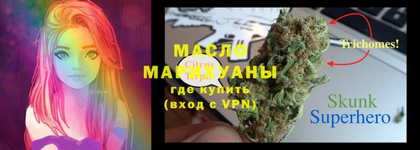 тгк Алексин