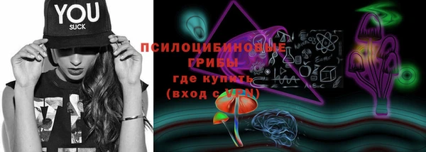 индика Аркадак