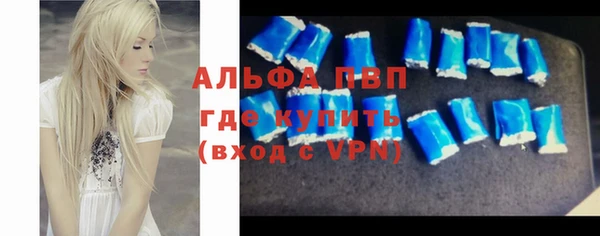 индика Аркадак