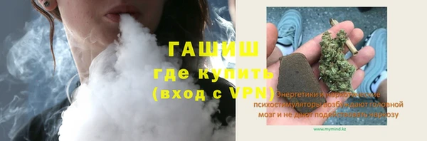 индика Аркадак
