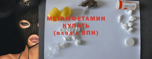 индика Аркадак