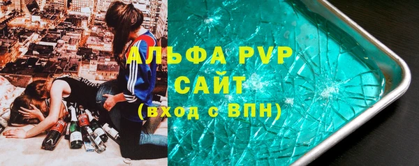 индика Аркадак