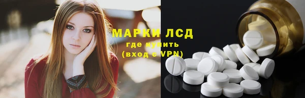 индика Аркадак