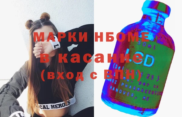 индика Аркадак