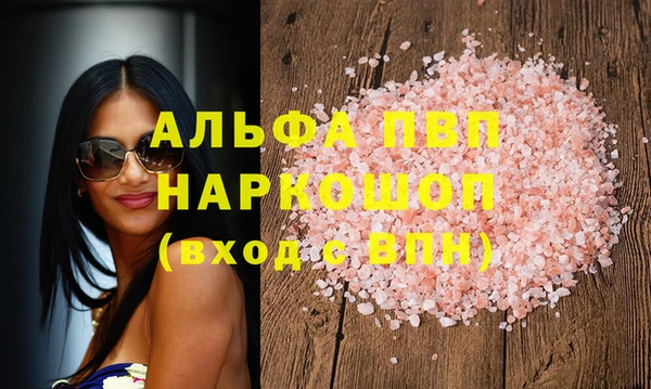 индика Аркадак