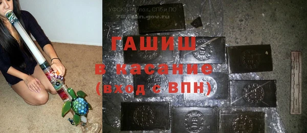 индика Аркадак