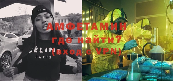 индика Аркадак