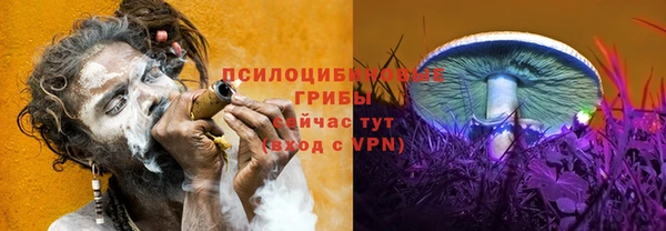 а пвп мука Армянск