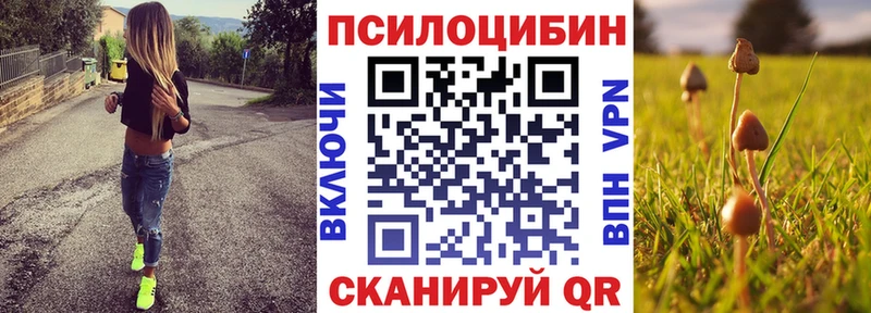 Псилоцибиновые грибы MAGIC MUSHROOMS  Лобня 