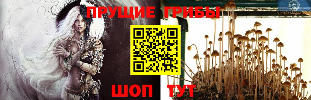 Галлюциногенные грибы GOLDEN TEACHER Лобня