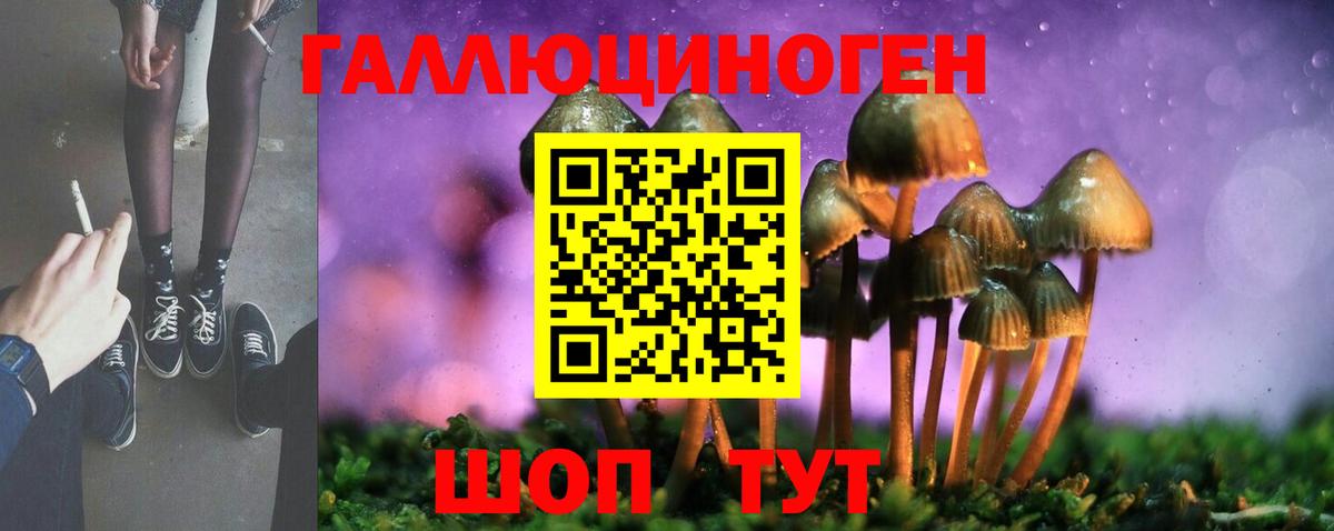 Лобня  Псилоцибиновые грибы Psilocybine cubensis  Вход с VPN 